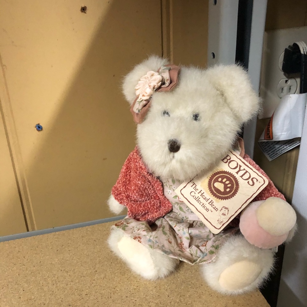Boyd’s bear